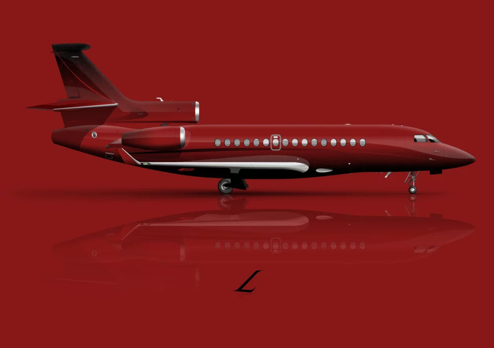 Falcon 8X private jet livery